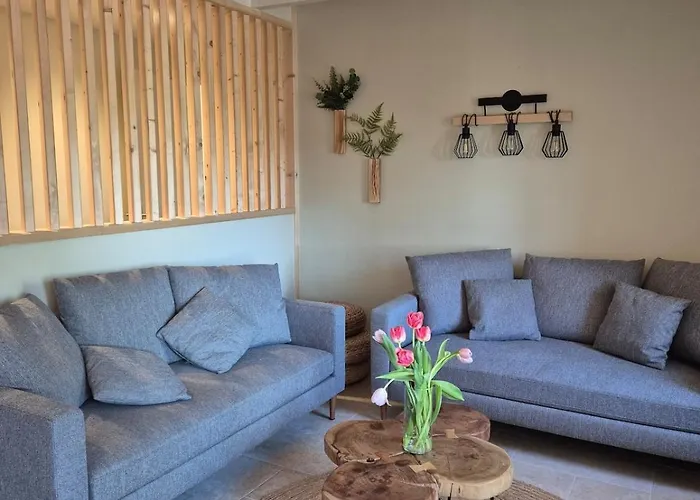 Vakantiehuis Magnifique Maison De Famille Renovee *